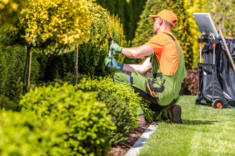 Local Landscape Edging pros at work