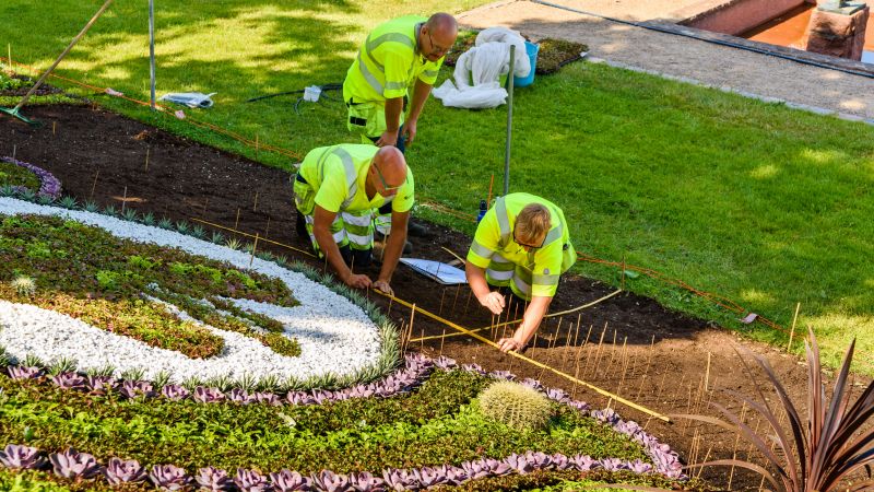 Edgings in a Garden Bed